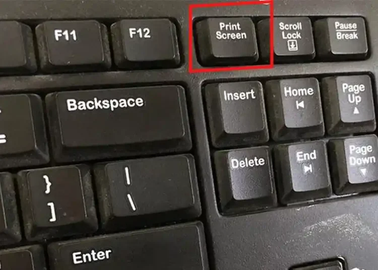 Cara Screenshot di Komputer Lengkap & Mudah Dipahami